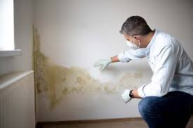 Trusted Tarrytown, NY Mold Removal Experts